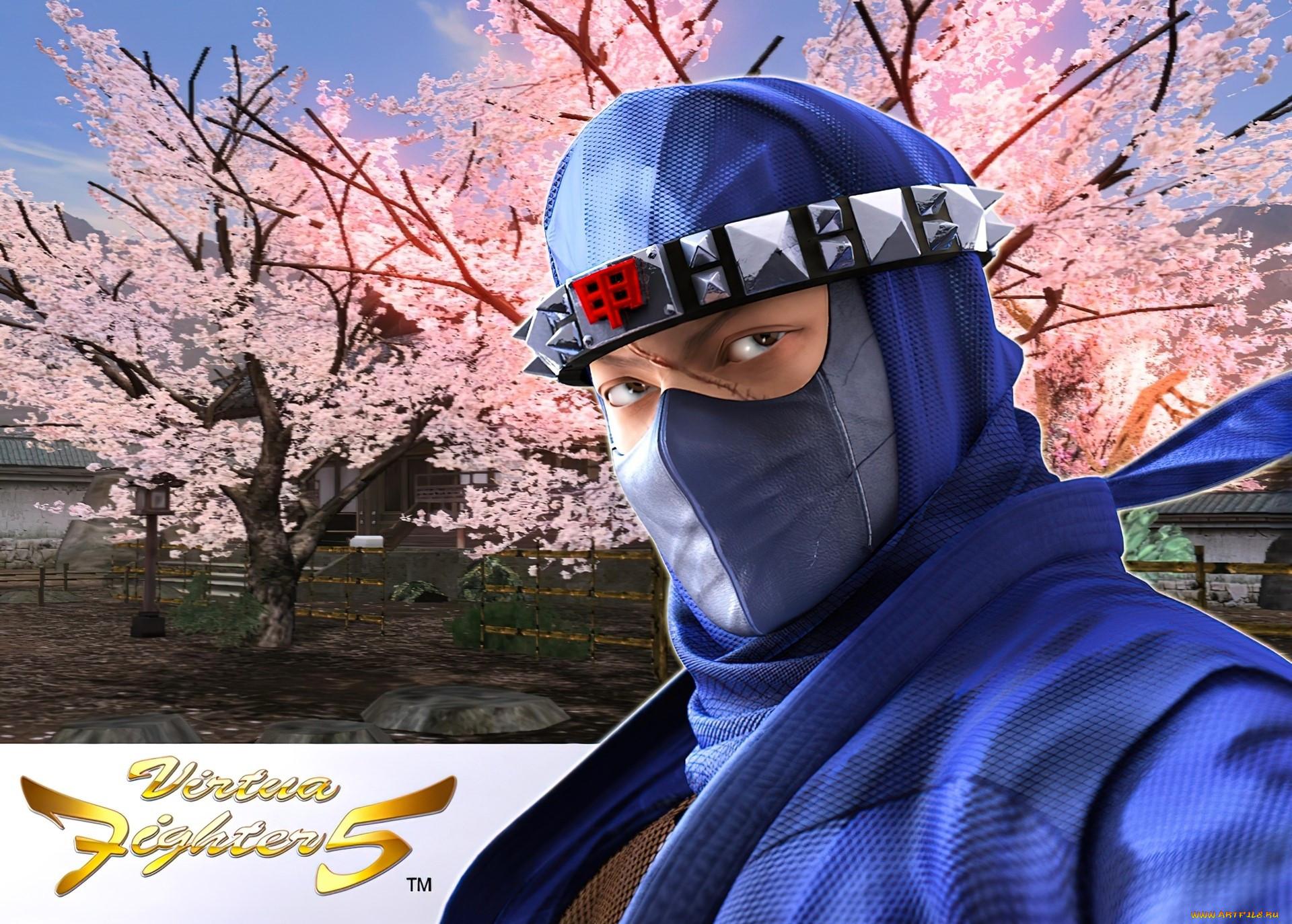  , virtua fighter 5, , , , , 